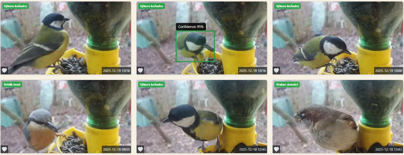 Bird Detection and Labeling